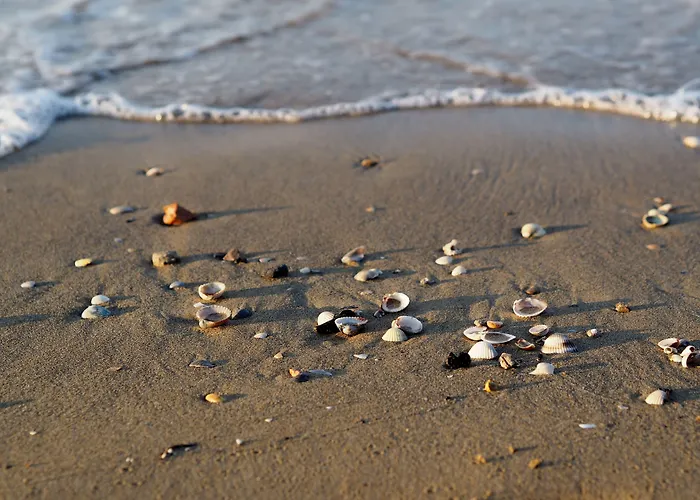 Modern Flat With Garden - Beahost *